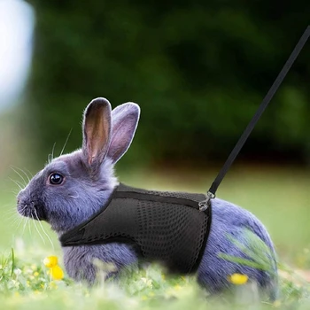 Регулируемая мягкая шлейка с эластичным поводком для кроликов S / для M / L Easy Control Bunny Harness Поводок 3 размера Жилет для кроликов - Изображение 2  
