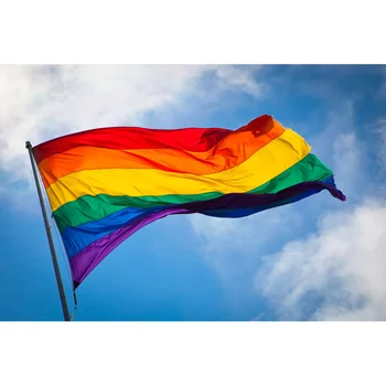 Полиэстер Радужный флаг Большой флаг гордости ЛГБТ Открытый баннер Партийные принадлежности Висячий флаг Баннер Флаги мира (60 * 90 см) - Изображение 1  