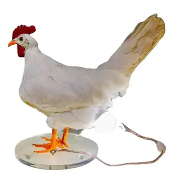 Цыпленок Ночник Украшения Таксидермия Куриные яйца Лампа Креативный свет Домашний декор 