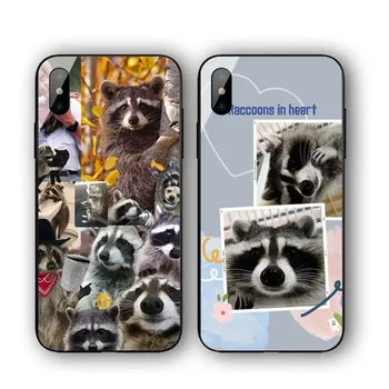 Прекрасный чехол для телефона Raccoon для Iphone 11 12 13 14 Pro Max 7 8 Plus X Xr Xs Max Se2020 Бухта из закаленного стекла - Изображение 1  