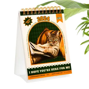 Cat Calendar 2024 Настольный календарь 2024 Настольный календарь 2024 12 Monthly Calendar Креативный календарь Подставка Календарь с наклейками - Изображение 1  
